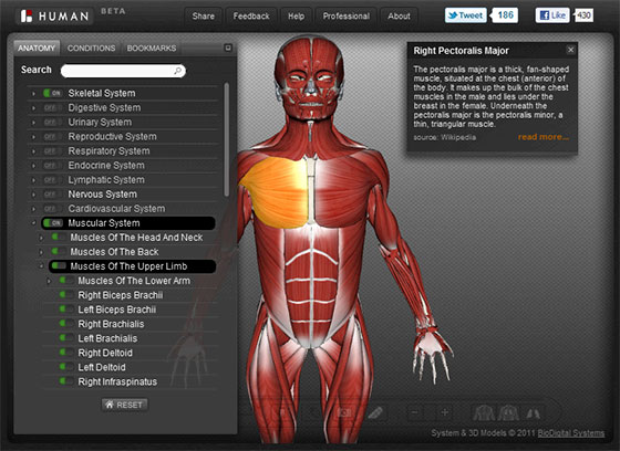 interactive human 3D anatomy Atlas BioDigital
