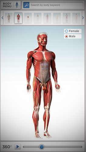 Interactive-Human-Anatomy-Atlas-Body-Maps