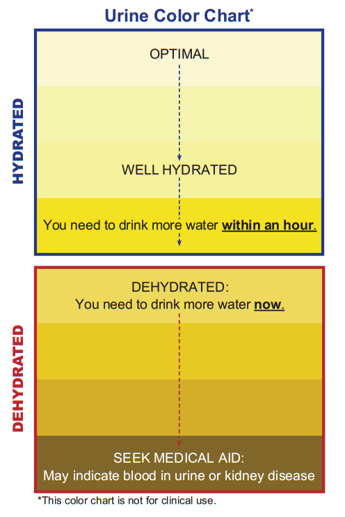 Urine Color Chart - Hdyration Dehydrated