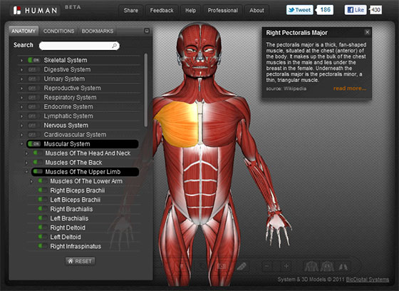 Free Interactive 3D Human Anatomy Atlases - All Things Gym