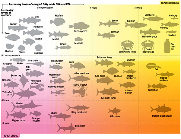 Seafood Infographic Omega 3 Content vs. Mercury Levels