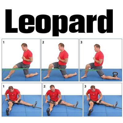Kelly Starrett Becoming a Supple Leopard Book Preview