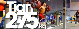 tin-tao-275-squat